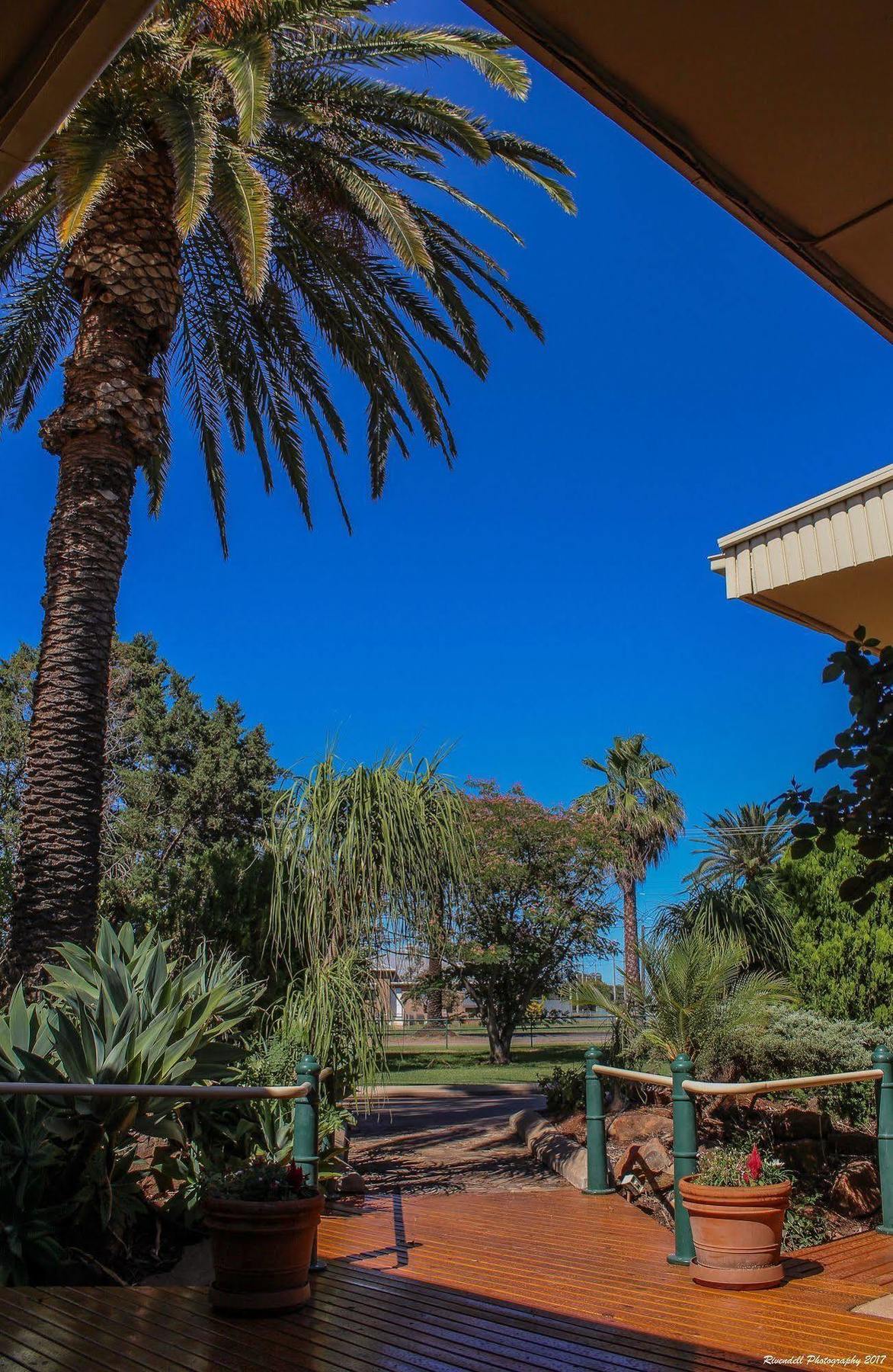 Leeton Motel Riverina المظهر الخارجي الصورة