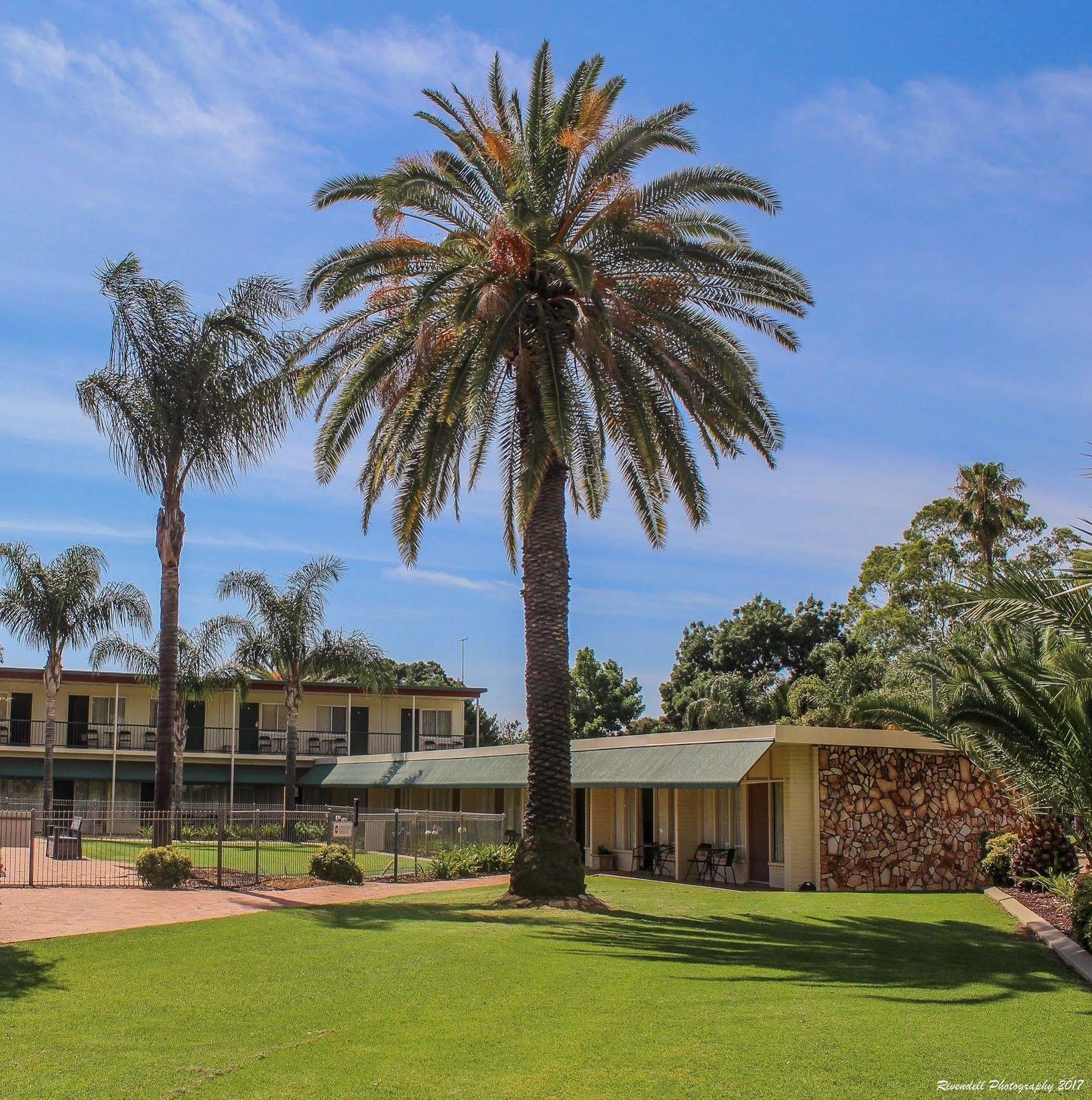 Leeton Motel Riverina المظهر الخارجي الصورة